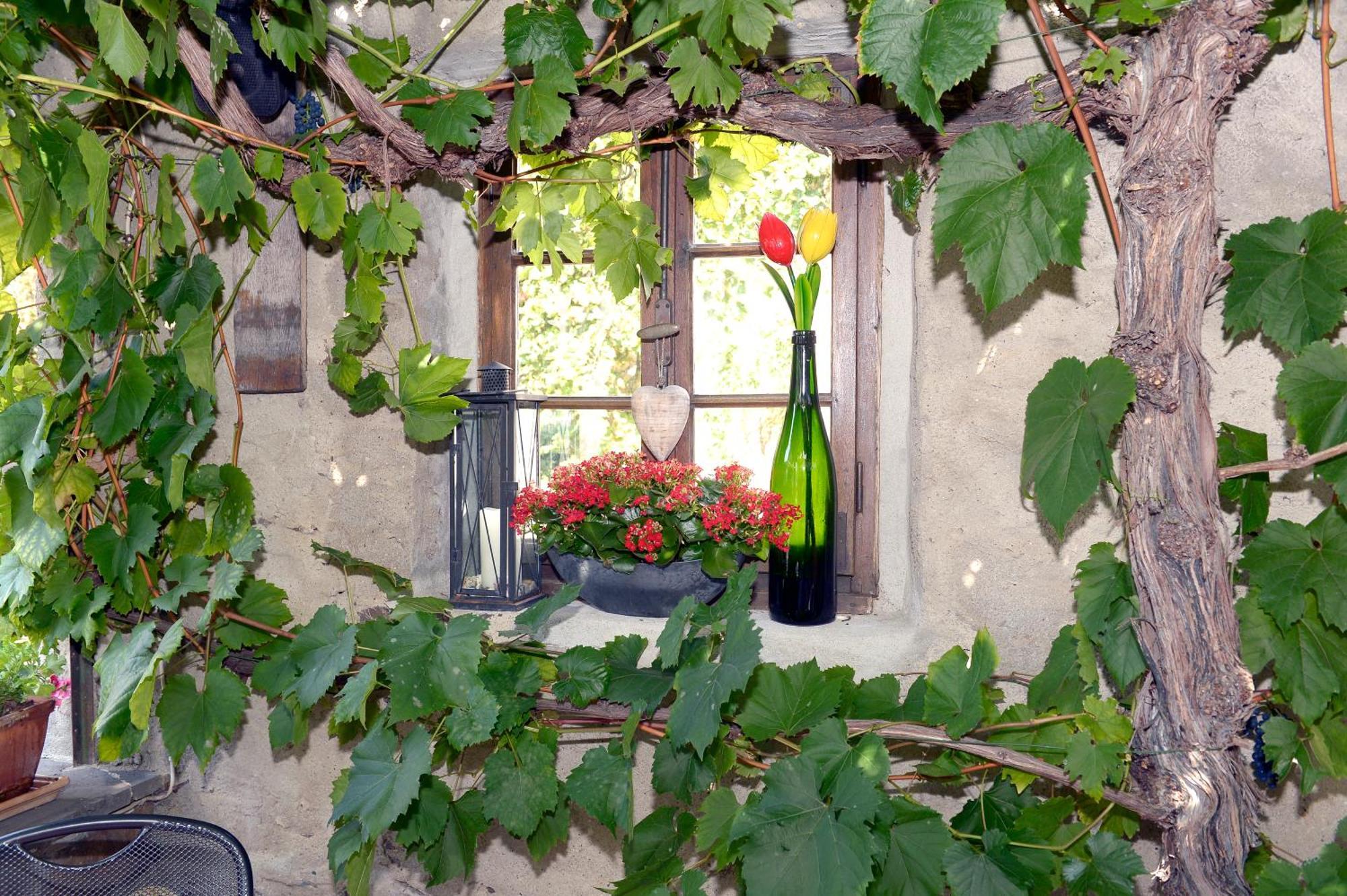 Wein- Und Gaestehaus M. Bai Мезеніх Екстер'єр фото
