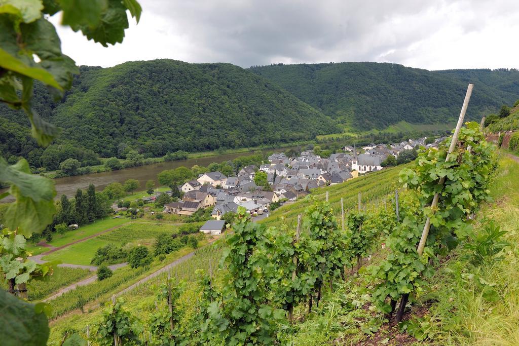 Wein- Und Gaestehaus M. Bai Мезеніх Екстер'єр фото